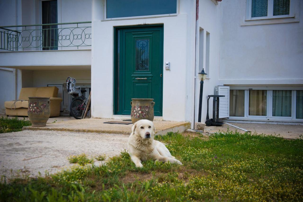 Olives Estate Apartments Grande بريفيزا المظهر الخارجي الصورة